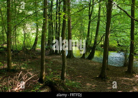 BRD, Nordrhein-Westfalen, Rheinisch-Bergischen Kreis, Helenental (Tal der Dhünn) Bei Altenberg Stockfoto