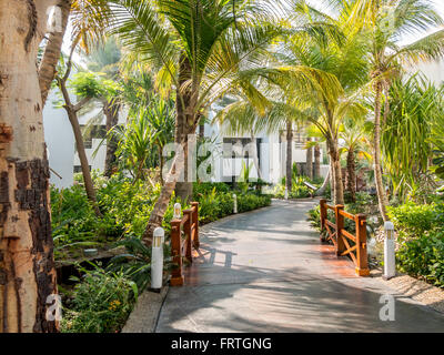 Tropischen Garten Luxus Hotel Beach Resort in Dubai, Vereinigte Arabische Emirate Stockfoto