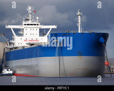 BTG Rainier (Schiff, 2015) IMO 9710139 Vlothaven, Hafen von Amsterdam pic2 Stockfoto