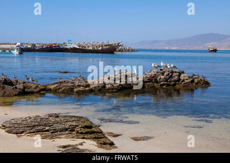 Angelboote/Fischerboote in Mirbat, Region Dhofar, Oman. Stockfoto