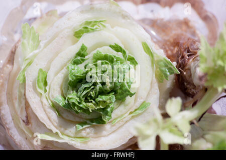 Chinakohl. Schneiden Gemüse hochkant und die Keimung der Ernte. Stockfoto