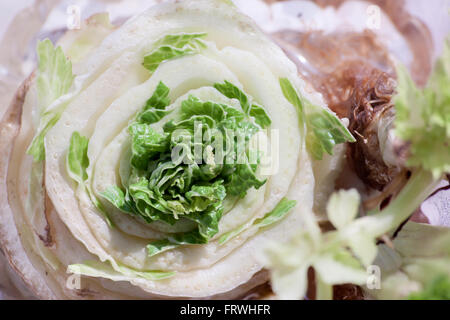 Chinakohl. Schneiden Gemüse hochkant und die Keimung der Ernte. Stockfoto