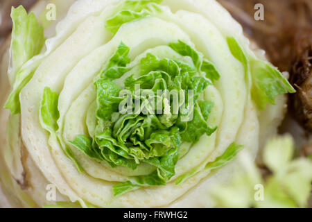 Chinakohl. Schneiden Gemüse hochkant und die Keimung der Ernte. Stockfoto