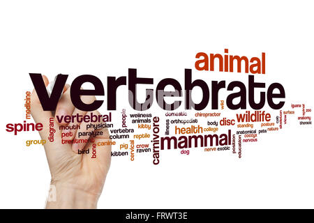 Vertebrate Word Cloud-Konzept Stockfoto