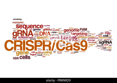 CRISPR/Cas9 System für die Bearbeitung, cloud, Regulierung und targeting Genome (Bio- und Gentechnologie) Wort Stockfoto