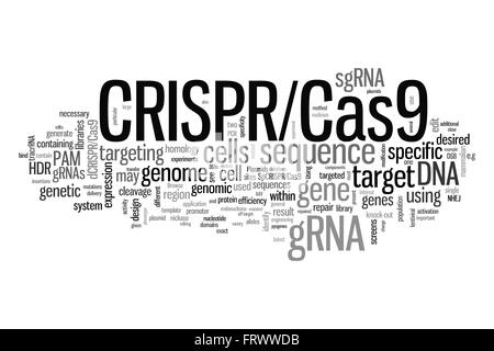 CRISPR/Cas9 System für die Bearbeitung, cloud, Regulierung und targeting Genome (Bio- und Gentechnologie) Wort Stockfoto