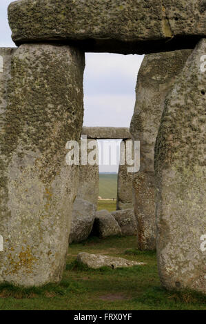 Die standing stones at Stonehenge, einem Ikonischen UNESCO Weltkulturerbe in der englischen Grafschaft Wiltshire nicht weit von Salisbury. Stockfoto