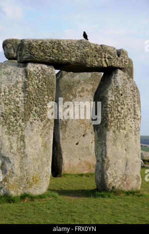 Die standing stones at Stonehenge, einem Ikonischen UNESCO Weltkulturerbe in der englischen Grafschaft Wiltshire nicht weit von Salisbury. Stockfoto
