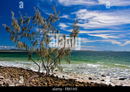 Noosa Beach Szene Australien Stockfoto