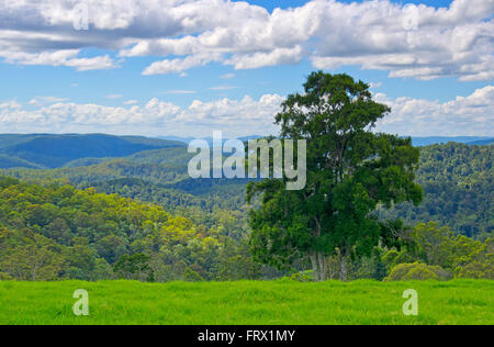 Blick nach Süden vom Berg Nebo Australien Stockfoto