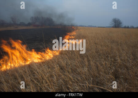 Auburn, Kansas, 30. März 2014 jährliche Felder verbrannt, um Unkräuter und holzige Pflanzen Credit: Mark Reinstein Stockfoto