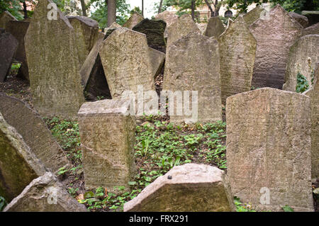 Grabsteine auf dem alten jüdischen Friedhof "Beth-Chaim" (Haus des Lebens), Prag Tschechische Republik, EU Stockfoto