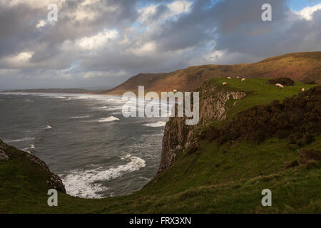 Rhossili Bucht Gower Stockfoto