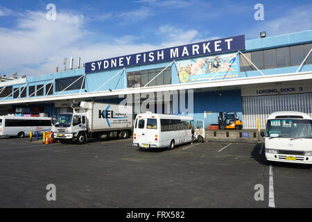 SYDNEY - AUG 21: Ein Blick auf Sydney Fish Market am 21. August 2015 in Sydney. Es ist die 3. größte Fischmarkt der Welt, Christiansen Stockfoto