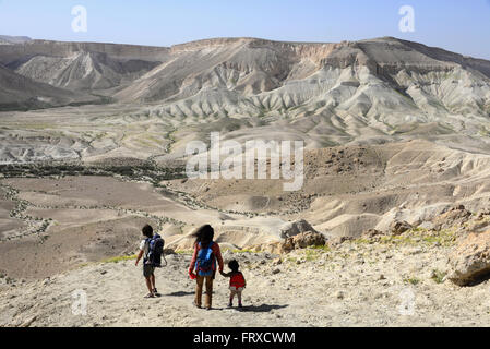 Wandern über das Zinn-Tal in der Nähe von Kibbuz Midreshet Sede Boker, Wüste Negev, Süd-Israel, Israel Stockfoto