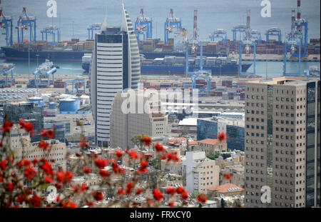 Blick auf den Hafen von Haifa, Nord-Israel, Israel Stockfoto