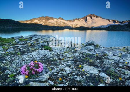 Blick über den See Scharzhornsee, Mount Hochalmspitze, Malta-Tal, Ankogel-Gruppe, Nationalpark Hohe Tauern, Kärnten, Österreich Stockfoto