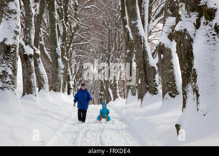 Frau Kind entlang ziehen, auf einem Schlitten, Allee von Linden, Kurfuerstenallee im Winter, Marktoberdorf, Allgäu, Bayern, Deutschland Stockfoto