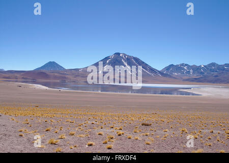 Vulkan Miscanti und Laguna Miscanti, in der Nähe von Anden San Pedro de Atacama, Chile Stockfoto