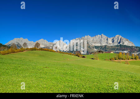Wilder Kaiser aus Süden mit Treffauer Ellmauer Halt, Karlspitzen, Regalmspitze, Ackerlspitze und Maukspitze, Wilder Kaiser, Kaiser reichen, Tirol, Österreich Stockfoto