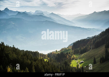 Blick auf den Thunersee und Kandertal, Beatenberg, Berner Oberland, Kanton Bern, Schweiz Stockfoto