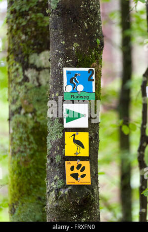 Nahaufnahme von Wandern Wanderweg Zeichen, Zwieseler Waldhaus, Bayerischer Wald, Bayern, Deutschland Stockfoto