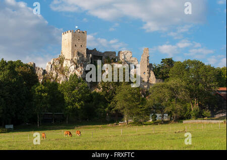 Weißenstein Ruinen, Pfahl, Bayerischer Wald, Bayern, Deutschland Stockfoto