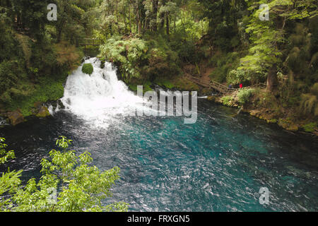 Wasserfälle Ojos del Caburgua, Seengebiet, Patagonien, Chile Stockfoto