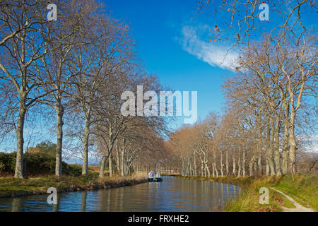 Allee der Platanen entlang des Canal du Midi, Capestang, Abt. Hérault, Languedoc-Roussillon, Frankreich, Europa Stockfoto