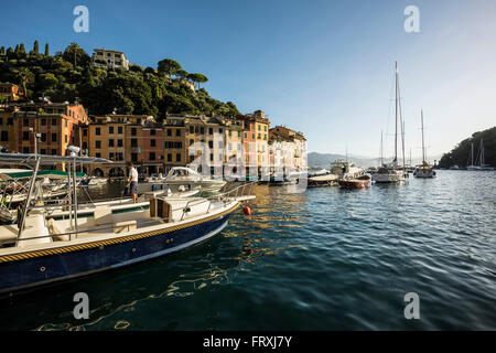 Portofino mit Hafen, Provinz von Genua, italienische Riviera, Ligurien, Italien Stockfoto