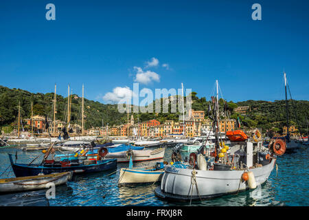 Angelboote/Fischerboote in den Hafen von Portofino, Provinz von Genua, italienische Riviera, Ligurien, Italien Stockfoto