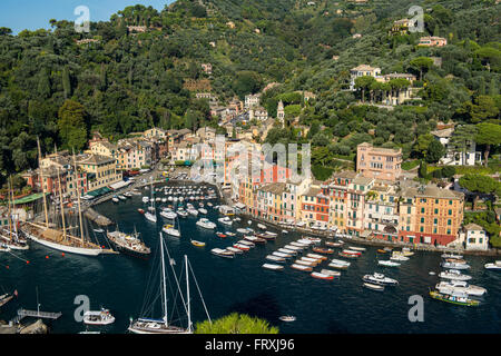 Portofino mit Blick auf den Hafen, die Provinz von Genua, italienische Riviera, Ligurien, Italien Stockfoto