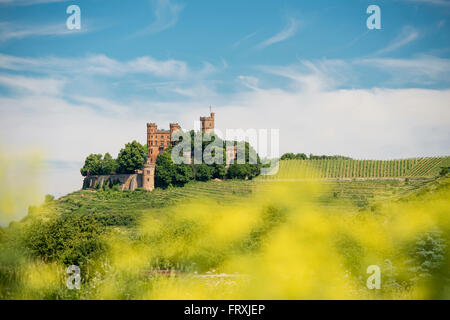 Schloss Ortenberg, in der Nähe von Offenburg, Ortenau, Schwarzwald, Baden-Württemberg, Deutschland Stockfoto