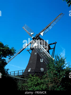 Museum-Mühle in Lemkenhafen, Fehmarn Insel, Ostsee, Schleswig-Holstein, Deutschland, Europa Stockfoto