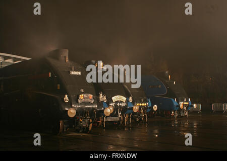 Die große Versammlung von Steve Hovington Stockfoto