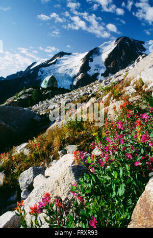 Bugaboo Provincial Park, Britisch-Kolumbien, Kanada Stockfoto