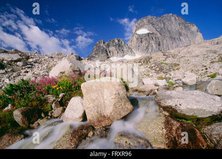 Bugaboo Provincial Park, Britisch-Kolumbien, Kanada Stockfoto