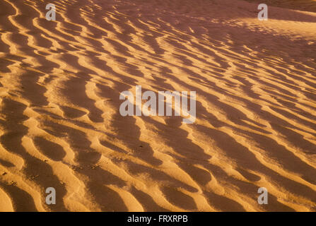 Wellen im Sand Dünen, Great Sand Hills, Saskatchewan, Kanada Stockfoto