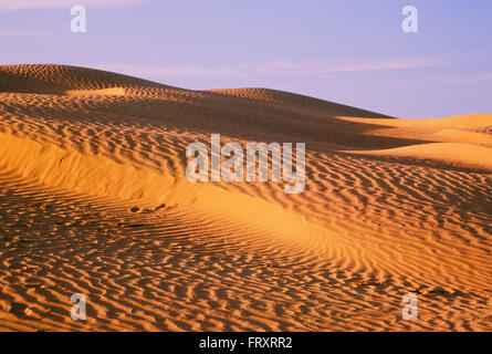 Sanddünen, Great Sand Hills, Saskatchewan, Kanada Stockfoto