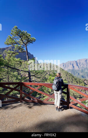 Blick vom Mirador de Las Chozas auf die Caldera de Taburiente, La Cumbrecita, Nationalpark Caldera de Taburiente Stockfoto