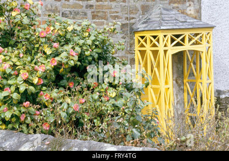 Vor der Landhaus aus Stein mit einer leuchtend gelben Spalier Veranda Garten rosa camellia Stockfoto