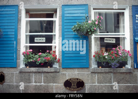 Nahaufnahme der Fenster ein siebziger Jahre Cottage B &amp; B mit Blumenkästen und blauen Louvre Fensterläden Stockfoto