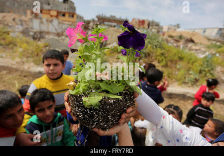 Gaza-Stadt, Gazastreifen, Palästinensische Gebiete. 24. März 2016. Palästinensische Kinder werden Rosen angebaut, während einer Kundgebung fordern zum Wiederaufbau ihrer Häuser, die am zweiten Weltkrieg 2014 in Schadschaija Nachbarschaft in Gaza-Stadt, zerstört 24. März 2016 Credit: Ashraf Amra/APA Bilder/ZUMA Draht/Alamy Live News Stockfoto