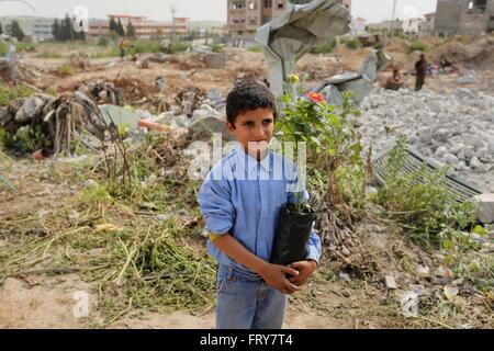 Gaza-Stadt, Gazastreifen, Palästinensische Gebiete. 24. März 2016. Palästinensische Kinder werden Rosen angebaut, während einer Kundgebung fordern zum Wiederaufbau ihrer Häuser, die am zweiten Weltkrieg 2014 in Schadschaija Nachbarschaft in Gaza-Stadt, zerstört 24. März 2016 Credit: Ashraf Amra/APA Bilder/ZUMA Draht/Alamy Live News Stockfoto