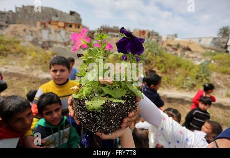 Gaza-Stadt, Gazastreifen, Palästinensische Gebiete. 24. März 2016. Palästinensische Kinder werden Rosen angebaut, während einer Kundgebung fordern zum Wiederaufbau ihrer Häuser, die am zweiten Weltkrieg 2014 in Schadschaija Nachbarschaft in Gaza-Stadt, zerstört 24. März 2016 Credit: Ashraf Amra/APA Bilder/ZUMA Draht/Alamy Live News Stockfoto