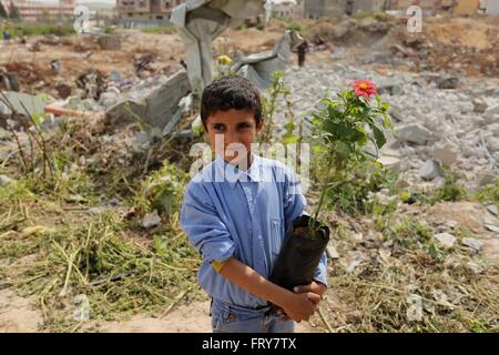 Gaza-Stadt, Gazastreifen, Palästinensische Gebiete. 24. März 2016. Palästinensische Kinder werden Rosen angebaut, während einer Kundgebung fordern zum Wiederaufbau ihrer Häuser, die am zweiten Weltkrieg 2014 in Schadschaija Nachbarschaft in Gaza-Stadt, zerstört 24. März 2016 Credit: Ashraf Amra/APA Bilder/ZUMA Draht/Alamy Live News Stockfoto