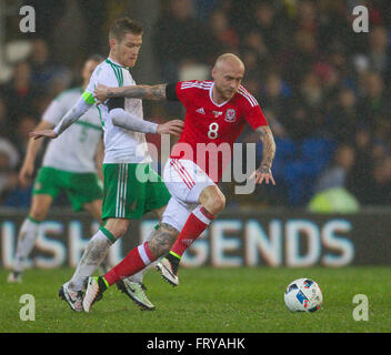 Cardiff City Stadium, Cardiff, Wales. 24. März 2016. Vauxhall internationale freundlich, Wales und Nordirland. Wales David Cotterill ist Foul von Norden Irlands Steven Davis (Kapitän) Credit: Action Plus Sport/Alamy Live News Stockfoto