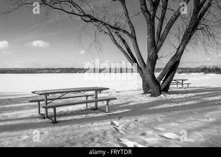 Picknicktisch im Schnee neben einem Baum. Stockfoto