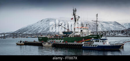 Greenpeace Arctic Sunrise vertäut im Hafen von Tromsø, Norwegen. Stockfoto