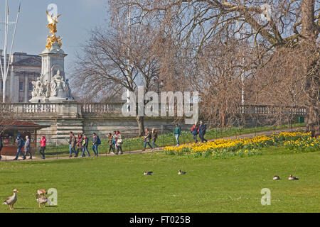 Vorfrühling in der Londoner St. James Park, Blick in Richtung Buckingham Palace Stockfoto